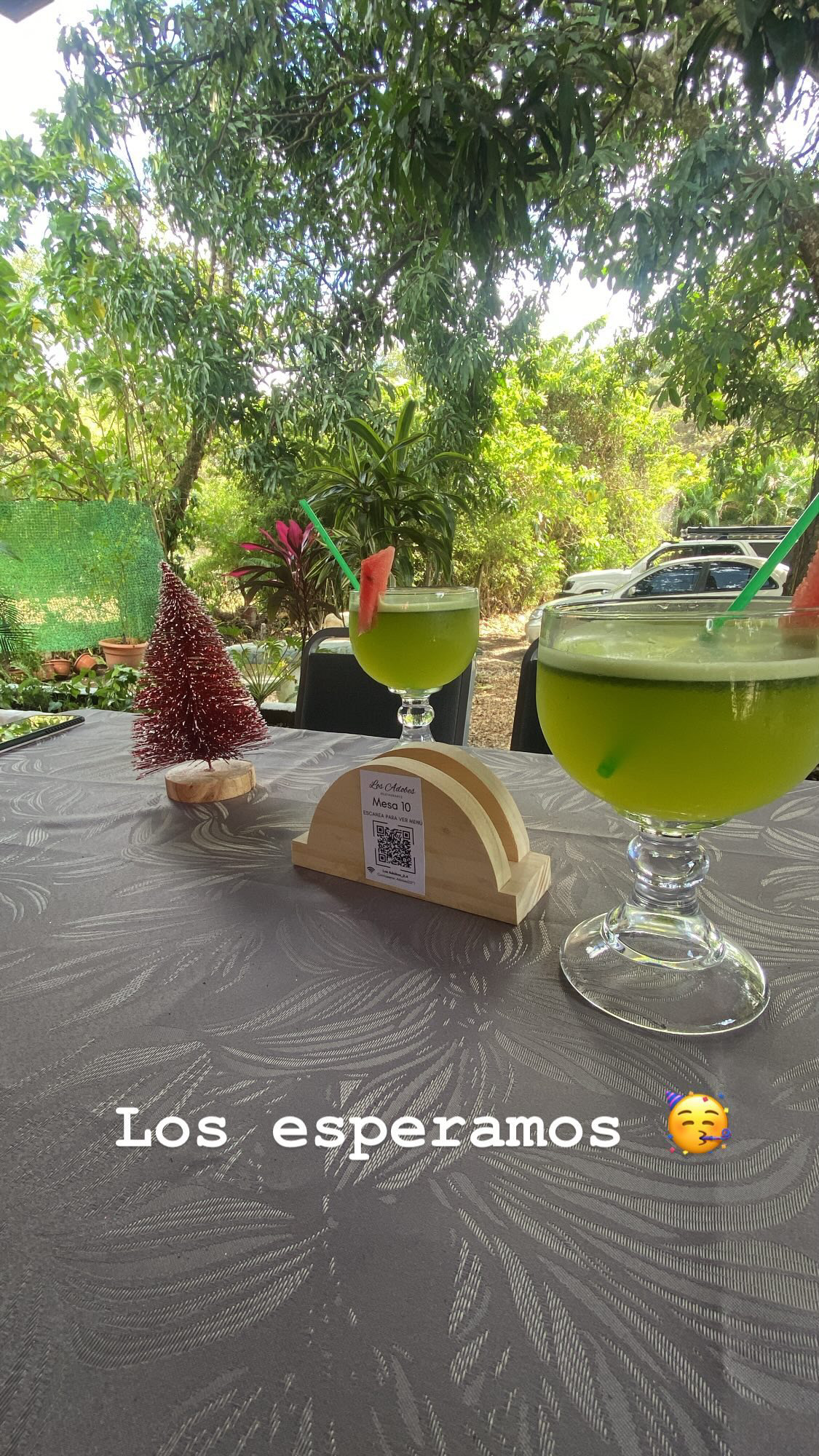 Frescos naturales servidos en copa
